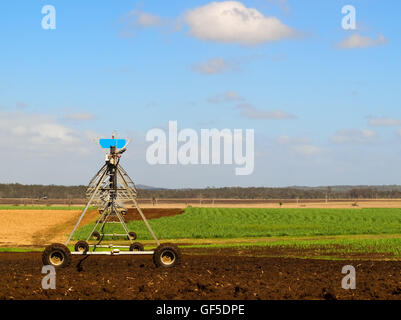 Australische Landwirtschaft gepflügt Zuckerrohr Feld mit Bewässerung Ausrüstung Kulturlandschaft Szene Stockfoto