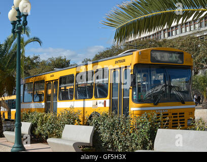 Gelbe Linienbus Haltestelle am Meer in Funchal, Madeira, Portugal Stockfoto