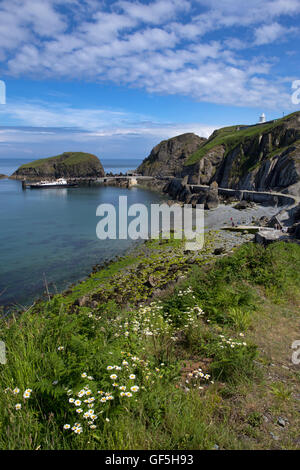 Boot am Steg im Hafen und Küste bei Lundy Island, Bristol Channel, Devon, England Stockfoto