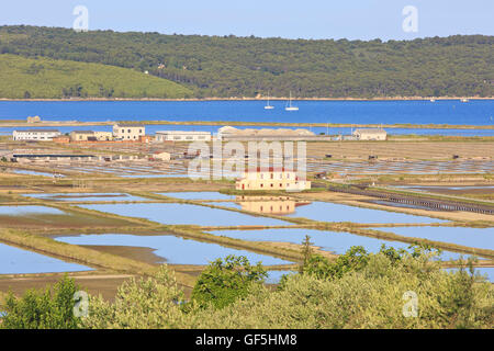 Panoramablick auf die Salinen von Secovlje, Teil des Landschaftsparks Secovlje Salina in Secovlje, Slowenien Stockfoto