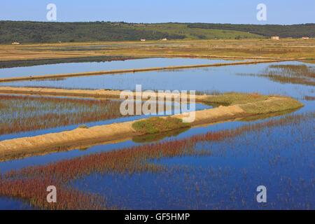 Die Salinen von Secovlje, Teil des Landschaftsparks Secovlje Salina in Secovlje, Slowenien Stockfoto