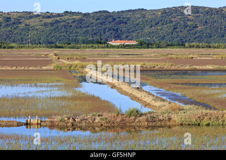 Die Salinen von Secovlje, Teil des Landschaftsparks Secovlje Salina in Secovlje, Slowenien Stockfoto