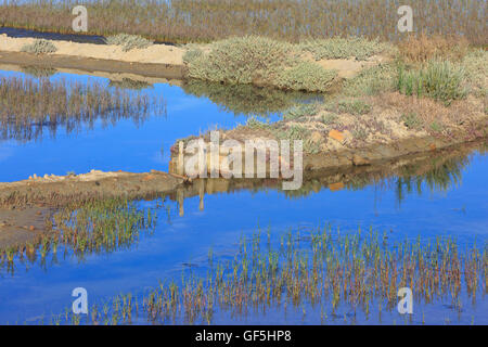 Die Salinen von Secovlje, Teil des Landschaftsparks Secovlje Salina in Secovlje, Slowenien Stockfoto