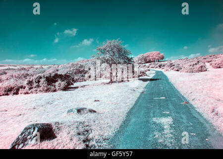 Ein Infrarot-Foto von einem Feldweg auf Bodmin Moor in Cornwall Stockfoto