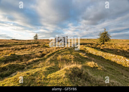 Eine einsame isolierte Bauernhaus am Nonnental Kreuz auf Dartmoor National Park in Devon Stockfoto