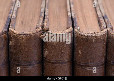 Gruppe von alte antiquarische Bücher Stockfoto