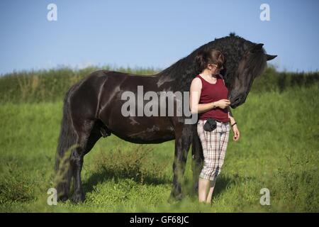 Frau und friesische Pferd Stockfoto