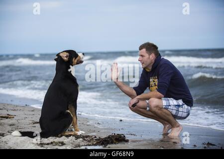 Mann und großer Schweizer Sennenhund Stockfoto