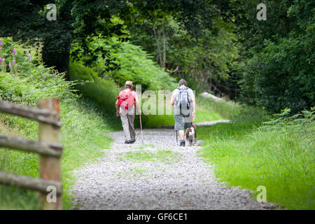 Zwei weibliche Wanderer genießen die ein angenehmer Spaziergang in der Clwydian Hill, Denbighshire, Wales, UK Stockfoto