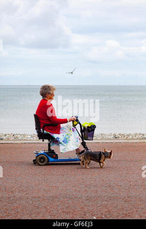 Ältere Frau mit ihrem Hund spazieren an Llandudno Promenade mit Hilfe von ihrem Rollstuhl, Wales, UK Stockfoto