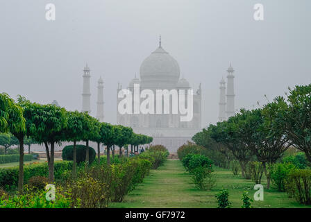 Taj Mahal sehen im Morgennebel aus über die Mehtab Bagh oder The Moonlight Garden, Agra, Indien Stockfoto