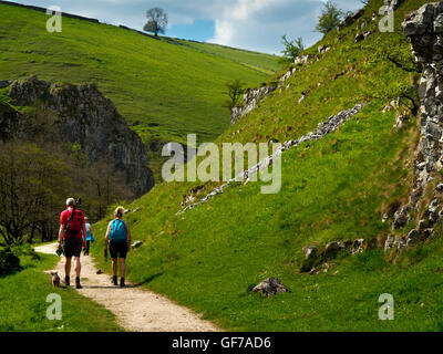 Kalkstein-Landschaft am Wolfscote Dale in der Nähe von Hartington in White Peakfläche der Peak District Nationalpark Derbyshire England UK Stockfoto