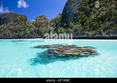 Koralle Bommies wachsen inmitten einer flachen, sandigen Lagune, umgeben von schönen Kalksteininseln in Wayag, Raja Ampat, Indonesien. Stockfoto