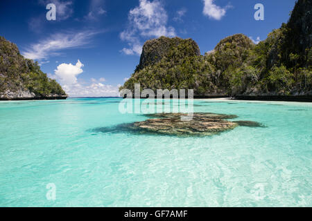 Koralle Bommies wachsen inmitten einer flachen, sandigen Lagune, umgeben von schönen Kalksteininseln in Wayag, Raja Ampat, Indonesien. Stockfoto