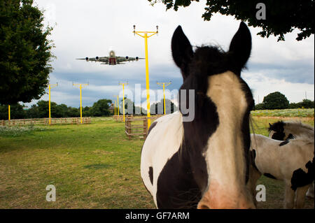 Airbus A380 landet auf dem Flughafen Heathrow. Stockfoto