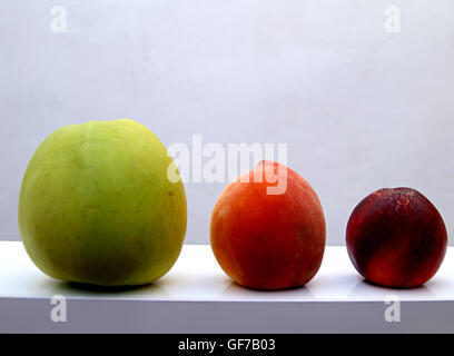 Früchte-Zeile auf weißem Hintergrund Stockfoto