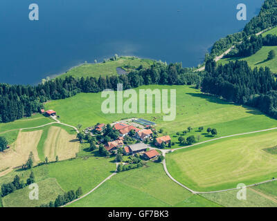 Kleine Gruppe von Bauernhäusern umgeben von Wiesen, Luftaufnahme, Neigung der Bayerischen Alpen in der Nähe von Petersthal am Rottachsee See, Allgä Stockfoto