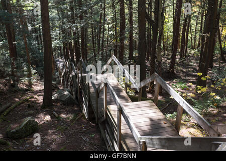 Nordamerika, Kanada, Ontario, Algonquin Provincial Park, Treppen Stockfoto