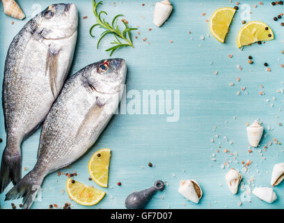 Frisches rohes Dorade Fisch dekoriert mit Zitronenscheiben, Kräutern und Muscheln auf blauem hölzernen Hintergrund, Textfreiraum Stockfoto