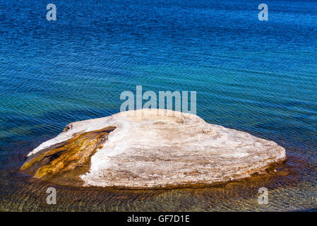 Angeln Kegel Geysir am West Thumb Geyser Basin im Yellowstone National Park Stockfoto