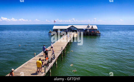 Luftaufnahme des Menschen auf Anna Maria Island City Pier in Bradenton, FL Stockfoto