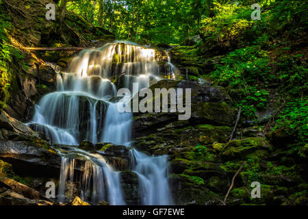 kommt unglaublich schöner und sauberer kleinen Wasserfall mit mehreren Kaskaden über großen Steinen im Wald aus einem riesigen Felsen c Stockfoto