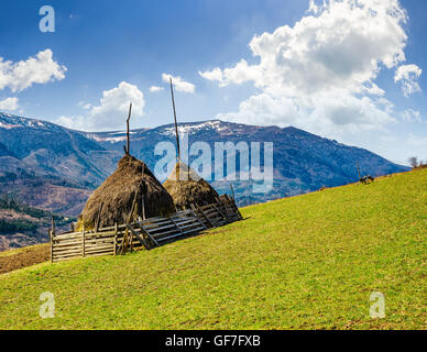 Stapel von Heu auf einem grünen Hügel Wiese bei Sonnenaufgang in den Bergen Stockfoto