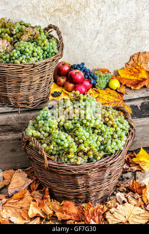 herbstliche Früchte Stillleben mit Äpfeln, Quitten, Trauben und Blätter auf alten Mauer Hintergrund Stockfoto