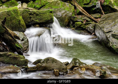 kleine Wasserfälle am Fluss Wald unter riesigen Bouders mit Moos bedeckt Stockfoto