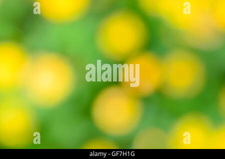 verschwommene Wiese grüner und gelber Hintergrund mit bokeh Stockfoto