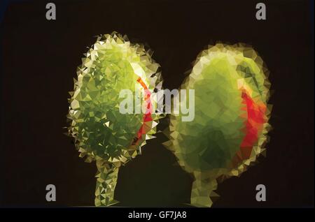 Roter Mohn auf dem weißen Hintergrund. Vektor Musterdesign mit beliebten Hütte Blumen. Stock Vektor