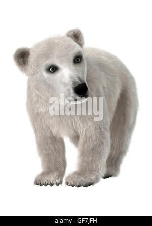 3D-Rendering eine Polar Bear Cub isoliert auf weißem Hintergrund Stockfoto