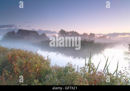 Niederländische Bauernhaus Fluss im Morgennebel, Niederlande Stockfoto