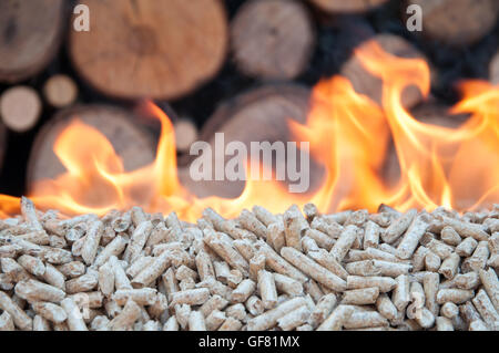 Verbrennung von Eiche Pellets-Biomasse, erneuerbare Energien Stockfoto