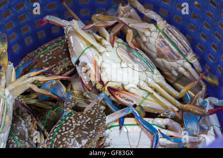 Krabbe ist eingefangen in den Korb Stockfoto