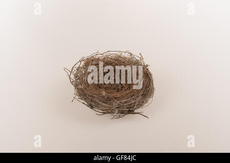 Leere Nest des kleinen Vogels in weißem Hintergrund Stockfoto