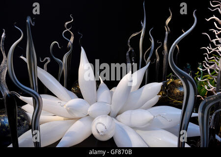 Unterwasser Schilf und Blumen aus Glas von Dale Chihuly ROM Toronto Stockfoto