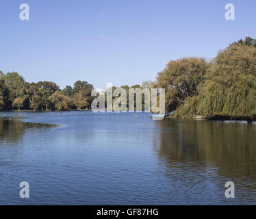 Western Springs Pond, Auckland, Neuseeland Stockfoto