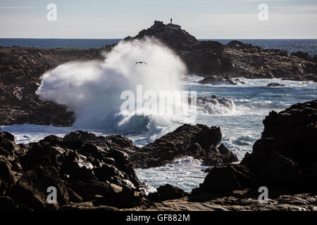 Kräftige Wellen aus dem Pazifischen Ozean Absturz gegen die schroffe und felsige Sonoma Coast malerischen Nord-Kalifornien. Stockfoto