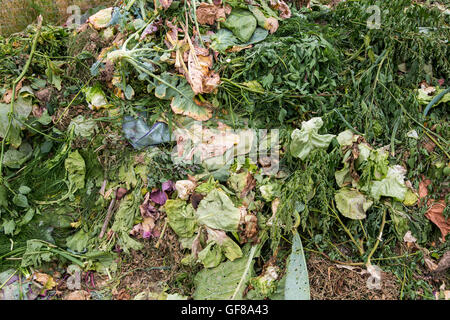 Garten, Gartenbau, Gemüsebau, Komposthaufen, recycling, Stockfoto