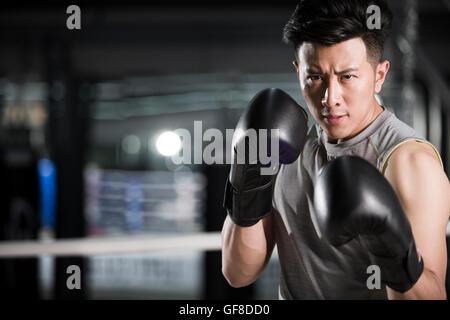 Porträt des chinesischen boxer Stockfoto