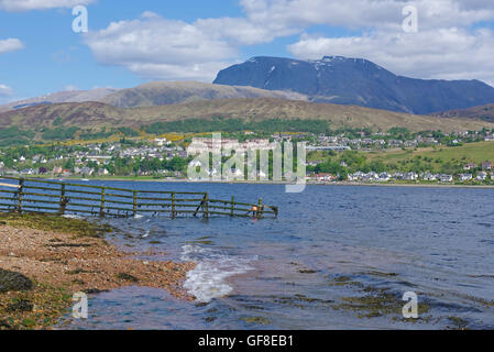 Blick auf Loch Linnhe bis nach Fort William und der gewaltigen Masse des Ben Nevis jenseits. SCO 10.986. Stockfoto