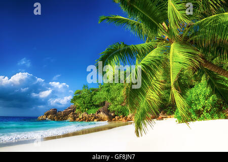 paradiesische Anse Georgette Strand in Seychellen Praslin island Stockfoto