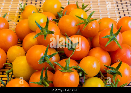 Grosse Ernte von Tomaten im Hausgarten in Los Angeles Stockfoto