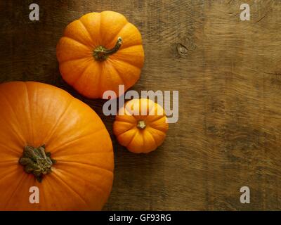 Jack-o-Laterne (Cucurbita Pepo) und Jack werden kleine Miniatur (Cucurbita Pepo) Kürbisse, Stillleben. Stockfoto