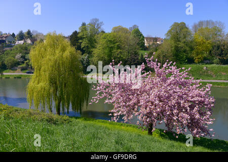 Teich bei Falaise in Frankreich Stockfoto