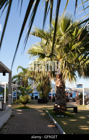 Bar am Strand von Antisamos, Insel Kefalonia im Ionischen Meer, Griechenland Stockfoto