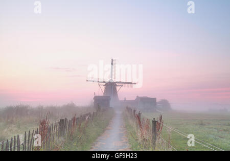 Holländische Windmühle im dichten Morgennebel, Holland Stockfoto