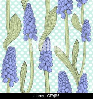Nahtlose Muster mit Trauben Hyazinthe oder Muskari auf gestrichelten Hintergrund Stock Vektor