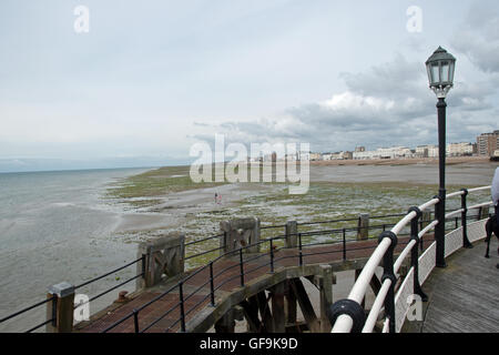 Ein Blick von der Worthing Pier an einem tristen bewölkten Tag im Juli Stockfoto